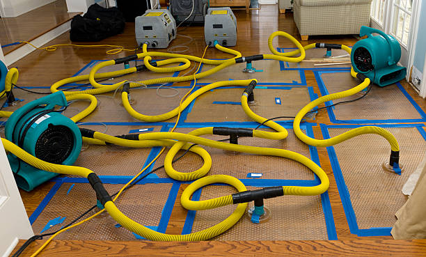 Professional Sewage Cleanup technician working in Stockbridge, WI